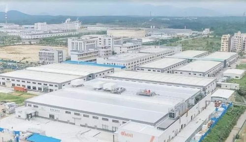 中國崛起為全球植物基食品重要市場，Omni新葷主義引領安心純素餐飲服務新潮流